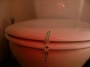 500 bandes étiquettes pour sceller la lunette de wc de la chambre de vos clients